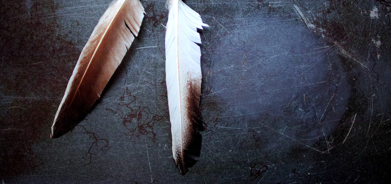 Two eagles feathers on a black slate background
