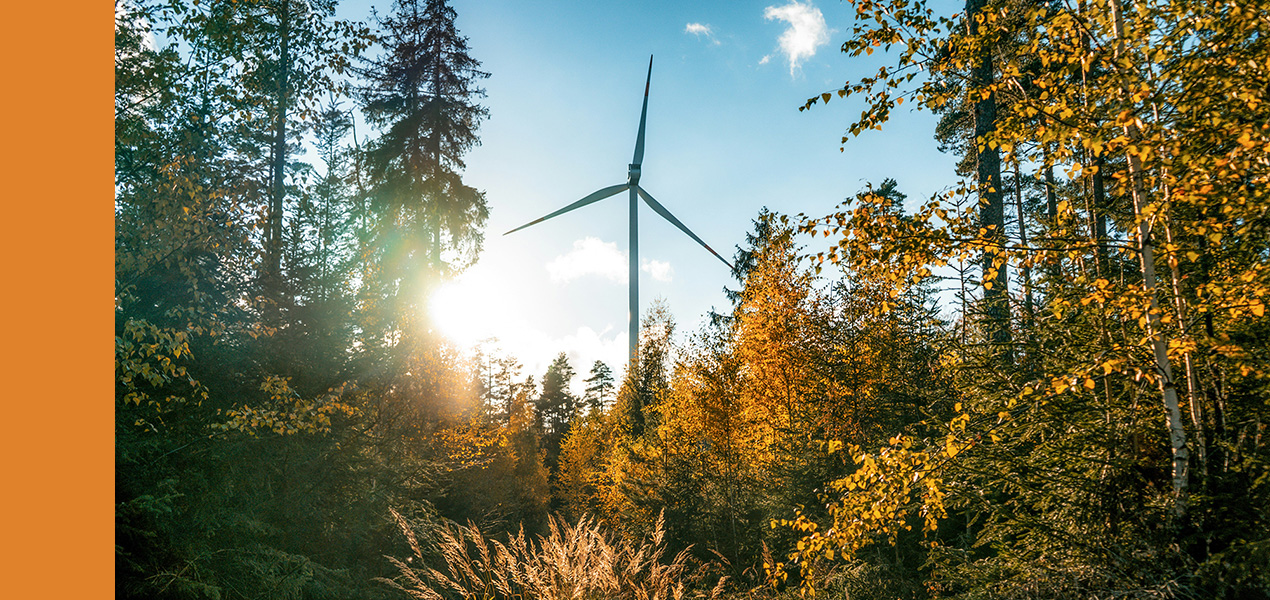 A wind turbine surrounded by forest.