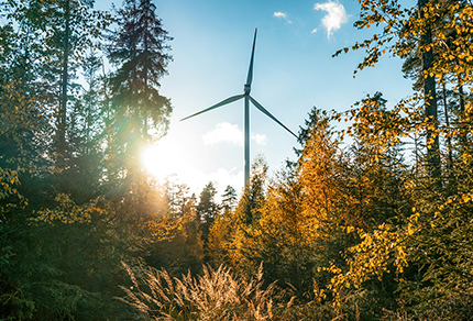 An energy-generating turbine in a forest setting.