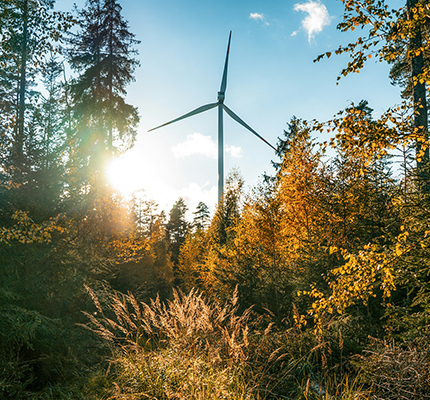 An energy-generating turbine in a forest setting.