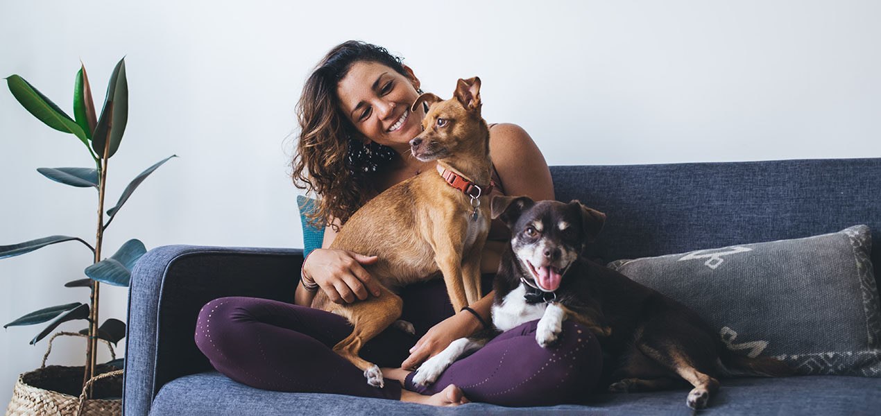 Young woman having fun with two dogs sitting on couch in home living room.